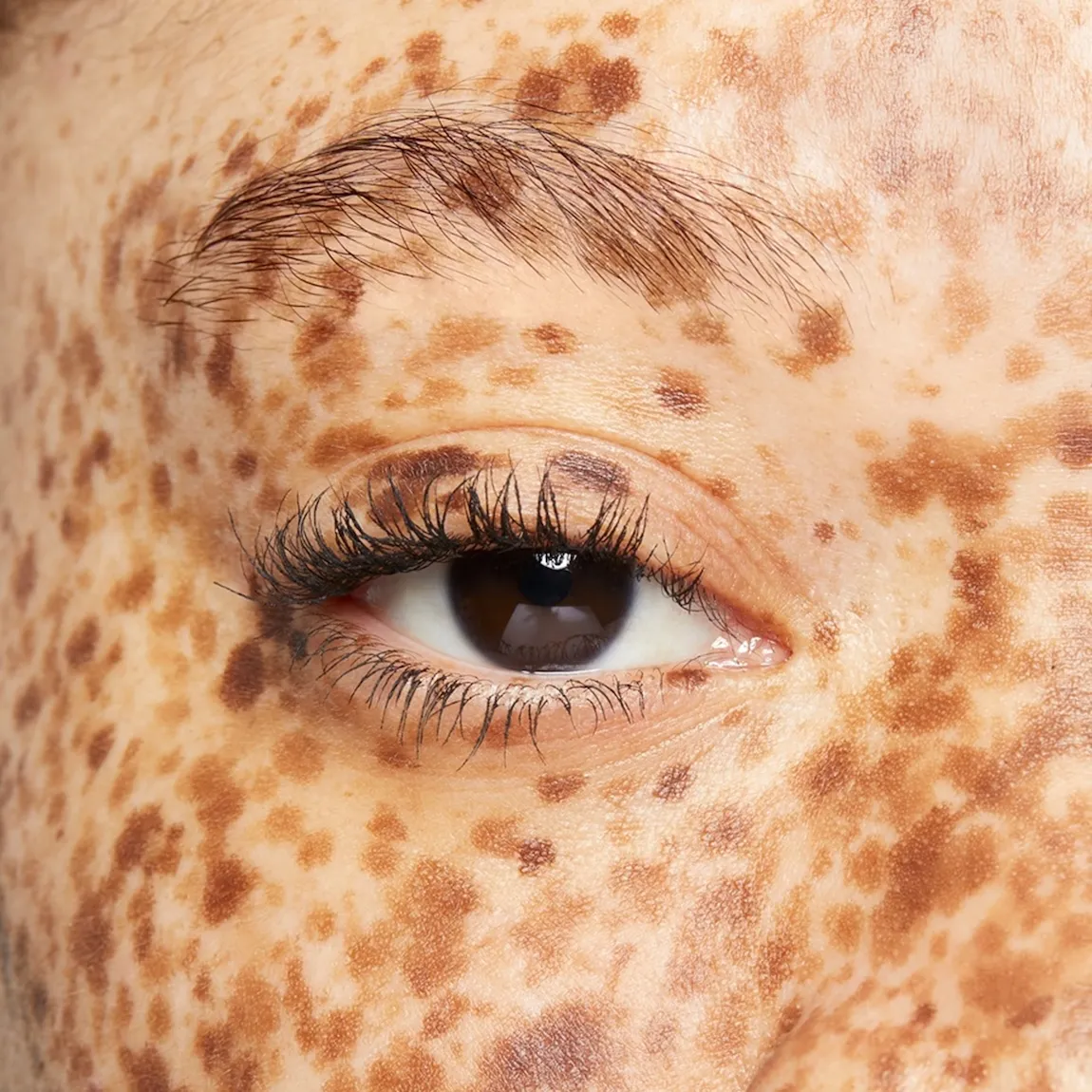 Limited-Edition† Mary Kay® Brow Kit - Image 5