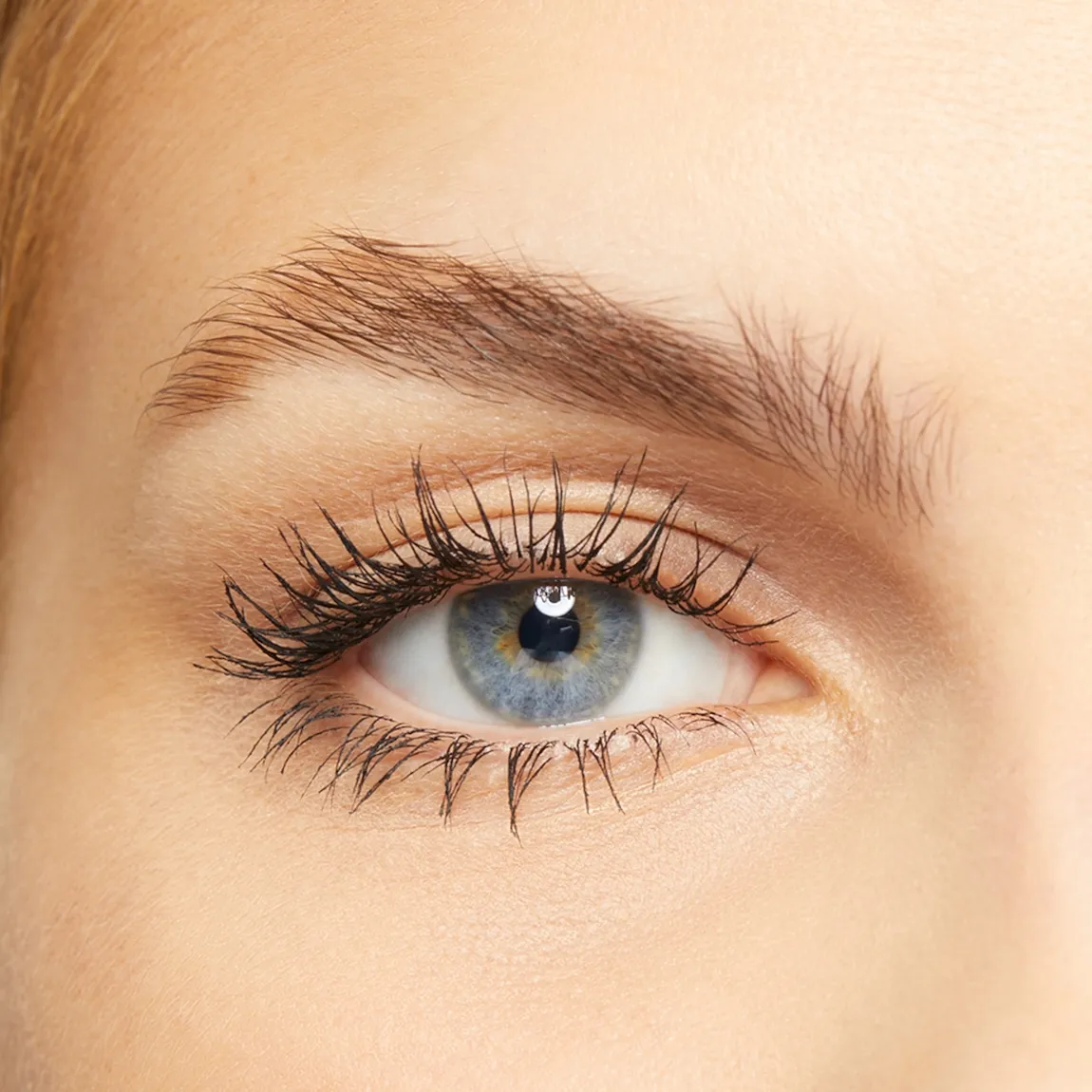 Limited-Edition† Mary Kay® Brow Kit - Image 5