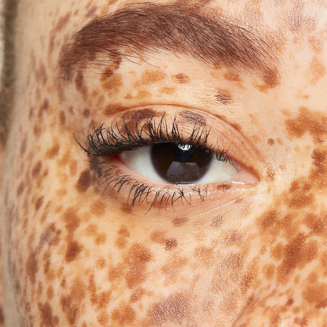 Limited-Edition† Mary Kay® Brow Kit - Image 6